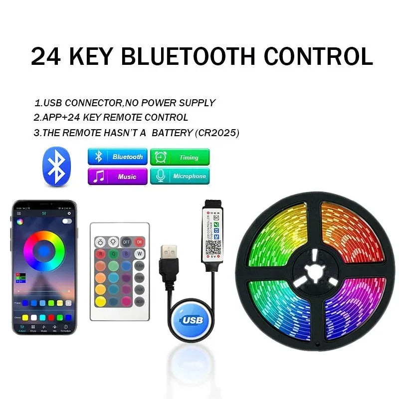 5050 RGB USB LED Strip 5V Bluetooth WiFi Control 16 Million Colors App Voice Remote for Room TV Backlight Decoration